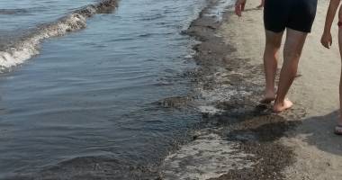 Galerie foto. E jale în Mamaia! Plaja, invadată de alge și miros teribil - 4