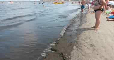 Galerie foto. E jale în Mamaia! Plaja, invadată de alge și miros teribil - 6