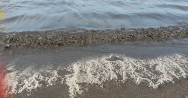 Galerie foto. E jale în Mamaia! Plaja, invadată de alge și miros teribil - 7