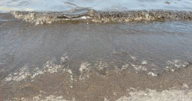 Galerie foto. E jale în Mamaia! Plaja, invadată de alge și miros teribil - 8