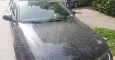 Stire din Social : Informații de ultimă oră despre praful saharian care va ajunge deasupra țării noastre. Ce zice Administrația Națională de Meteorologie