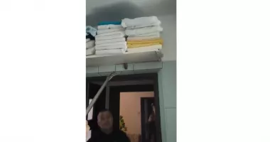 Stire din Eveniment : Liliac capturat de jandarmi într-un imobil din Constanța. Animalul a fost eliberat în siguranță