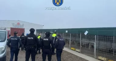 Stire din Eveniment : Primele măsuri după ancheta la adăpostul de câini unde animalele erau maltratate și eutanasiate