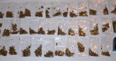 Stire din Eveniment : Prinși cu etnobotanicele în buzunar