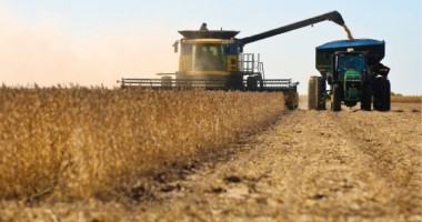 Stire din Actualitate : Ministerul Agriculturii angajează 50 de directori