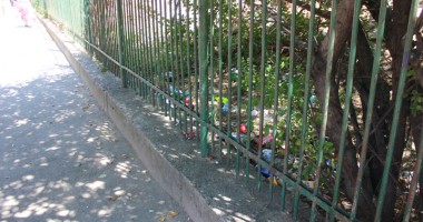 Cum trebuie pedepsiți cei care aruncă gunoaie la întâmplare - 6
