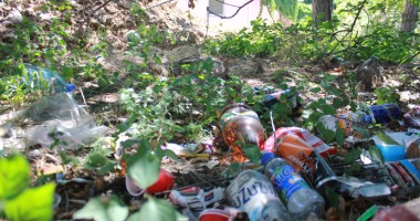 Cum trebuie pedepsiți cei care aruncă gunoaie la întâmplare - 2