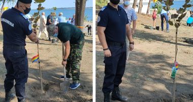 Omagiu adus militarilor căzuți în teatrele de război. „Pădurea Veteranilor”, la Techirghiol
