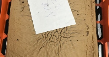 GALERIE FOTO / Laboratorul Silvian ÎNCHIS DE CJPC. Au fost constatate multiple deficiente - 7