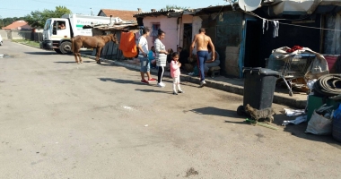 Galerie foto-video / Agitație în cartierul Palas. Este plin de jandarmi! - 2
