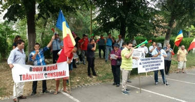 GALERIE FOTO / Au sunat sirenele la Primăria Constanța! Șoferii de la RATC cer salarii mai mari - 2