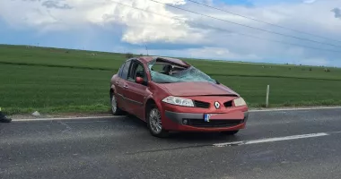 Stire din Eveniment : UPDATE Accident rutier între localitățile Lumina și Sibioara. Trei pisici au fost salvate
