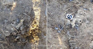 VIDEO / PERCHEZIȚII. Deșeurile ovinelor moarte în Portul Midia nu au fost incinerate, ci îngropate! - 2
