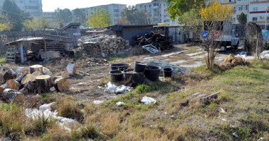 DEZASTRUL din parcurile Constanței - 2