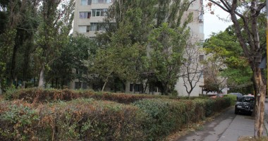 Strada Traian, tentația spărgătorilor de locuințe - 2