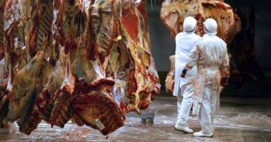 Stire din Economie : Scandalul cărnii de cal / România va avea o linie verde unde să se anunțe tăierile ilegale de carne