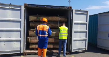 Stire din Eveniment : EXPORT DE LEMNE, ÎN ANCHETĂ! Șapte containere, oprite din drumul spre China!
