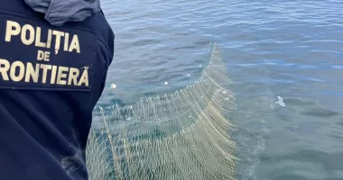 Cinci sturioni salvați din plase ilegale descoperite în Marea Neagră - 2
