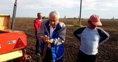 Ministerul Agriculturii ia măsuri pentru plafonarea prețurilor la alimente