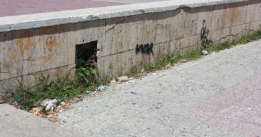 Cum trebuie pedepsiți cei care fac mizerie în parcuri - 8