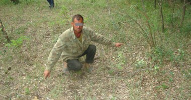 Polițiștii de frontieră îi caută pe cei care taie Pădurea Letea - 2