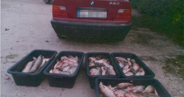 Stire din Eveniment : Braconierii piscicoli, urmăriți din elicopter!
