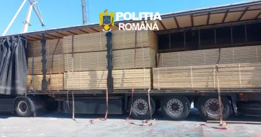 Transport ilegal de lemn, descoperit în Portul Constanța Sud