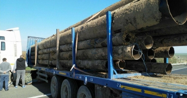 Trafic blocat pe A2! Un TIR a ieșit în decor - GALERIE FOTO - 8