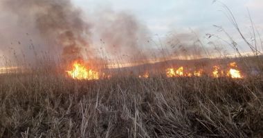 INCENDIU DEVASTATOR! Peste 20 de hectare de stuf, DISTRUSE DE FOC! - 2