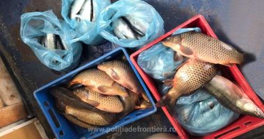 Sute de kilograme de pește, în plasele Gărzii de Coastă