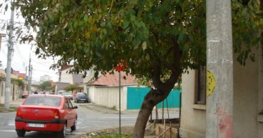Stire din Cetățenești : "Tot timpul se ciondănesc mașinile aici!"