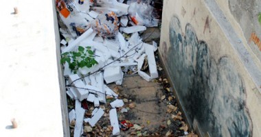 "Badea Cârțan", cotropit de broaște și mirosuri fetide - 6