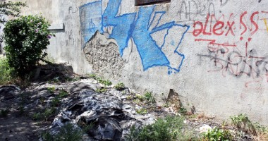 "Badea Cârțan", cotropit de broaște și mirosuri fetide - 5