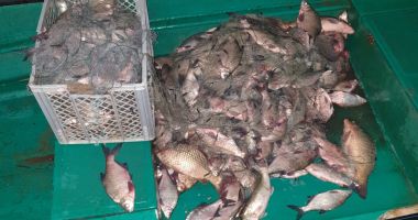 CAPTURĂ PE LAC. Sute de kilograme de pește, confiscate de Garda de Coastă - 2