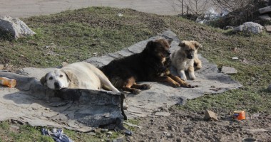Fețele Constanței secolului XXI - 2