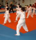 Karate de Cupa Campionilor