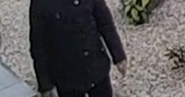 Furt din grădina Baroului Constanța, în ziua de Florii, surprins de camerele video - 2