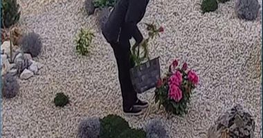 Furt din grădina Baroului Constanța, în ziua de Florii, surprins de camerele video - 3
