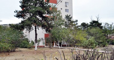 Stire din Cetățenești : Scandal și reclamații pe strada Dispensarului