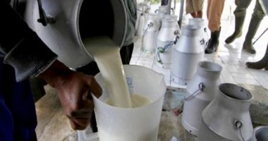 Crește producția internă de lapte, dar și importul