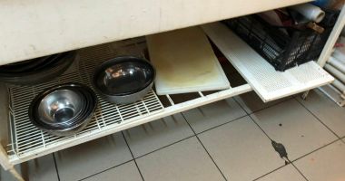 GALERIE FOTO / JALE la un RESTAURANT CHINEZESC din Constanța. Localul a fost închis temporar - 8