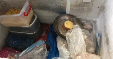 GALERIE FOTO / JALE la un RESTAURANT CHINEZESC din Constanța. Localul a fost închis temporar - 7