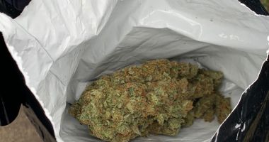 CAPTURĂ DE PROPORŢII! 25 de kilograme de cannabis şi şase persoane reţinute în urma unor percheziţii la Constanţa - 2
