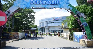 Stire din Eveniment : Se reabilitează zona de taxiuri de la Delfinariu!