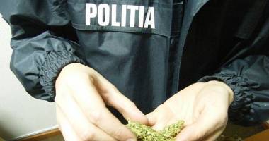 Stire din Eveniment : TRAFIC DE DROGURI la Constanța / Trei tineri au ajuns după gratii