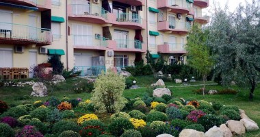 Stire din Cetățenești : "E și proprietatea mea, de-aia îmi bag nasul peste tot!"