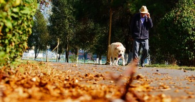 Stire din Social : Soare și maxime de 8 grade Celsius, astăzi, la Constanța