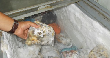 VIDEO. Sute de kilograme de melci de mare, confiscate de polițiști - 2