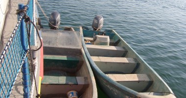 Stire din Eveniment : Braconieri cu poftă de calcan, prinși de Garda de Coastă