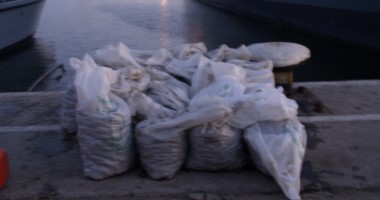 O tonă de melci de mare confiscată la Constanța - 3